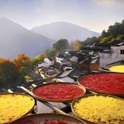 WuYuan
